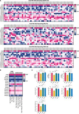 Type I interferon subtypes differentially activate the anti-leukaemic function of natural killer cells